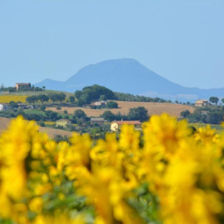 Casale Dei Cinque Colli Villa Ostra ภายนอก รูปภาพ