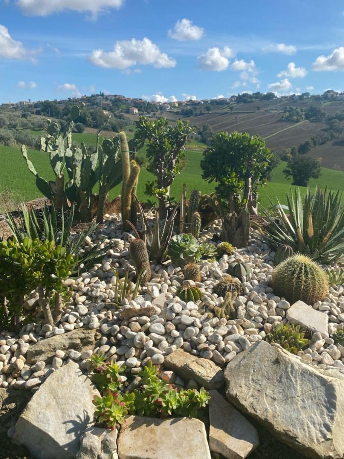 Casale Dei Cinque Colli Villa Ostra ภายนอก รูปภาพ