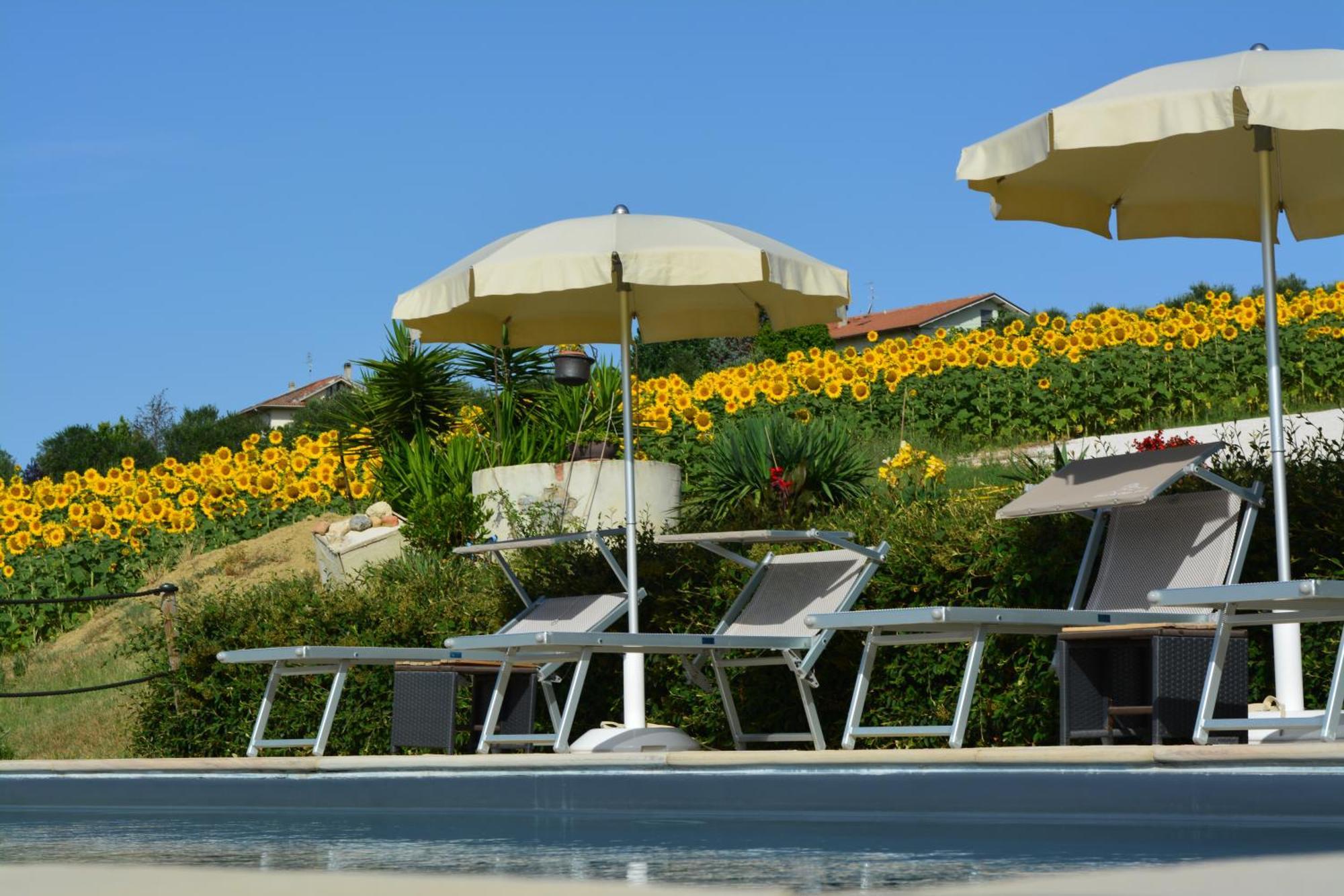 Casale Dei Cinque Colli Villa Ostra ภายนอก รูปภาพ