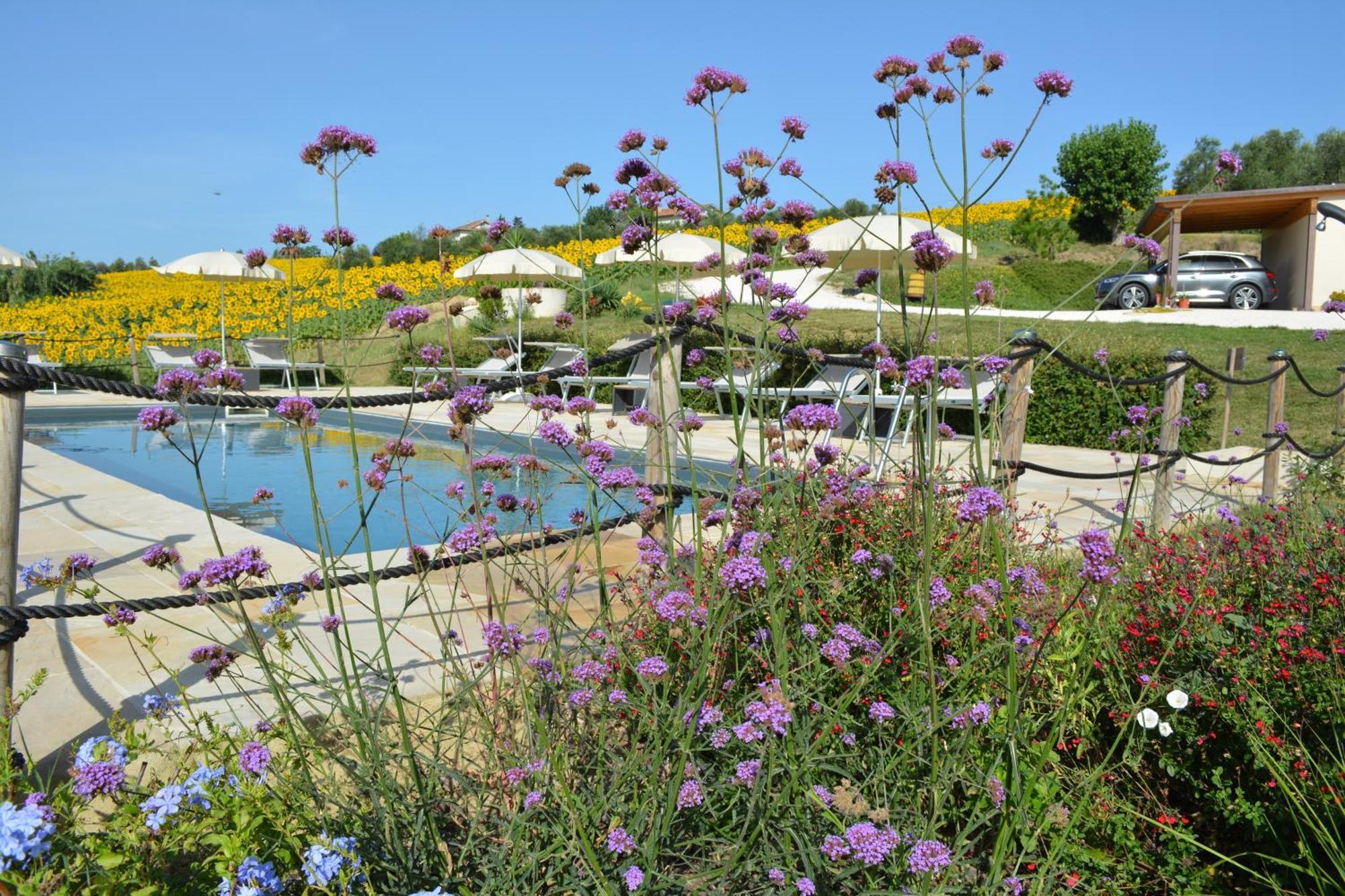 Casale Dei Cinque Colli Villa Ostra ภายนอก รูปภาพ