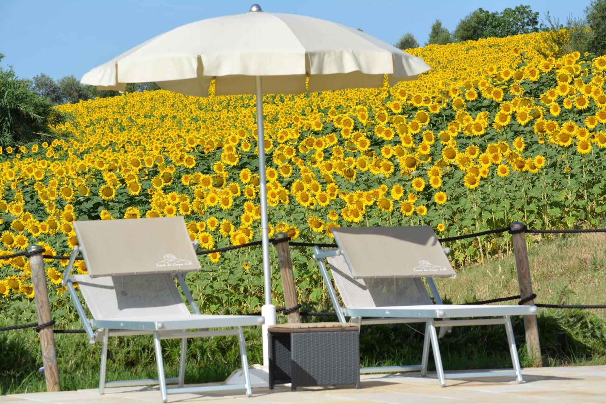 Casale Dei Cinque Colli Villa Ostra ภายนอก รูปภาพ